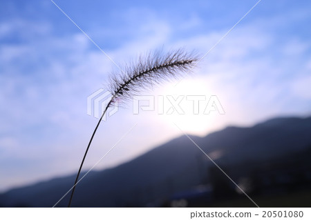 autumn sky  20501080