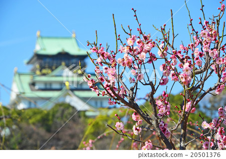 大阪城公園在早春 20501376