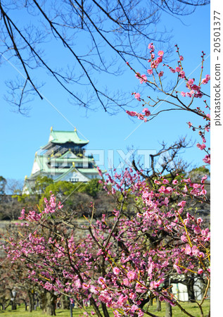 大阪城公園在早春 20501377