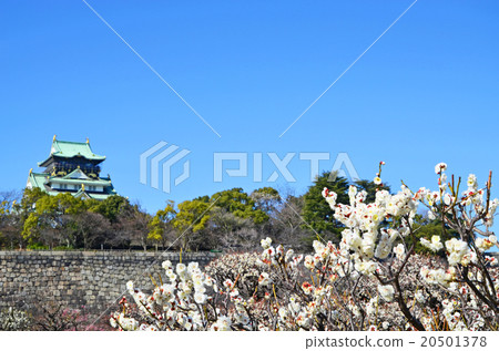 大阪城公園在早春 大阪城公園在早春 20501378