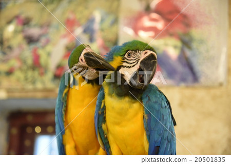 Qatar Doha 20501835