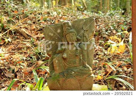 石佛Noda Roshikon 20502021