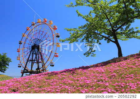 Ferris wheel of Tokyo German village 20502292