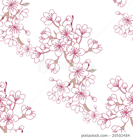 Seamless Pattern Sakura - Stock Illustration [20502484] - PIXTA
