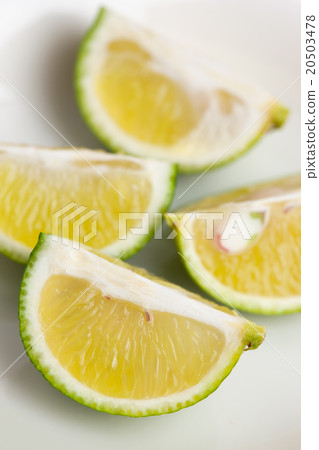 Sudachi Sudachi 20503478