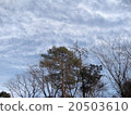 Blue sky 20503610