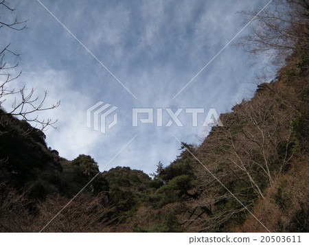 Mountain and sky 20503611
