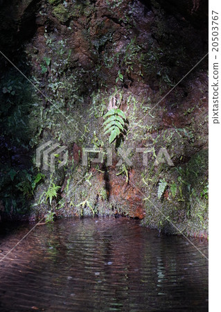 Former Ise Shrine spring of the real name of well Former Ise Shrine spring of the real name of well 20503767