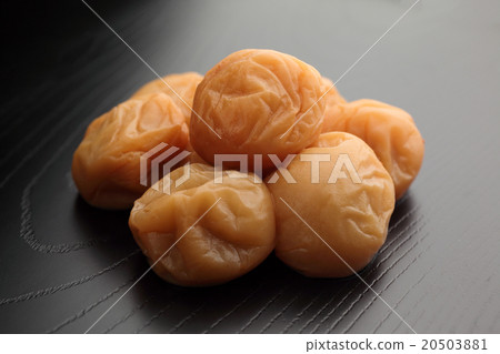 梅 梅 20503881