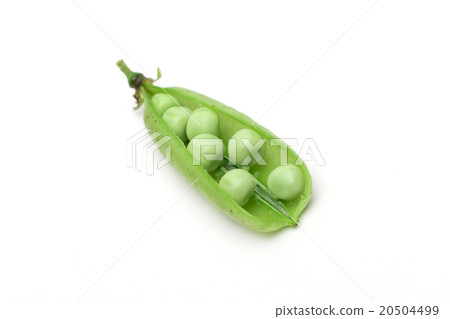 peas on the white background peas on the white background 20504499