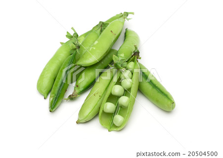 peas on the white background peas on the white background 20504500