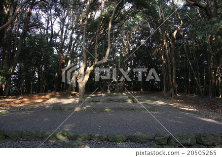 Munakata Taisha的高宮節 20505265