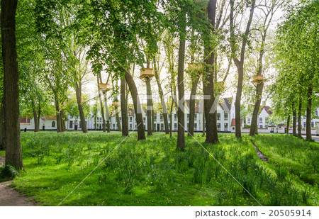 Tree Houses in the Beguinage Garden in Bruges Tree Houses in the Beguinage Garden in Bruges 20505914