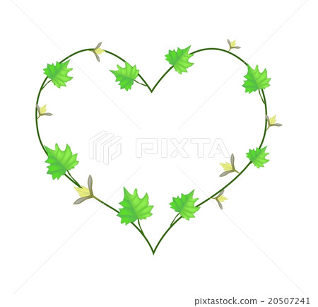 Vine Flower and Leaves in Beautiful Heart Shape 20507241