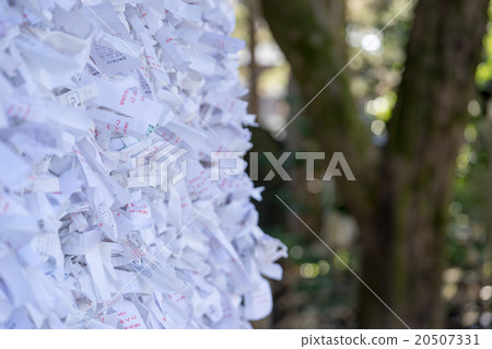 A lot of Omikuji A lot of Omikuji 20507331