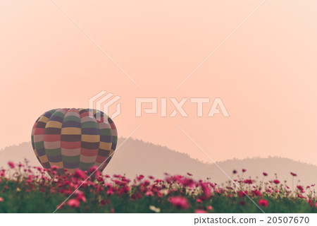 Colorful hot air balloon is flying at sunset. 20507670
