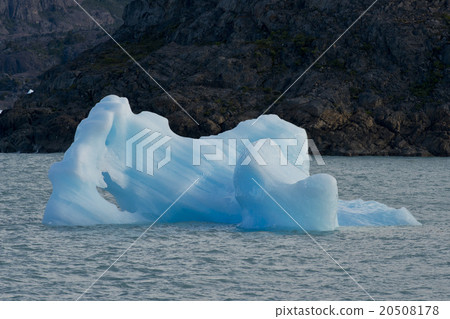 Iceberg floating on the Lake Argentino 20508178