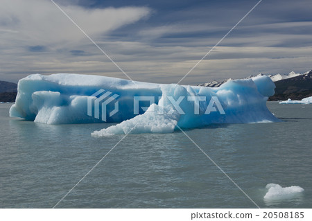 Iceberg floating on the Lake Argentino 20508185