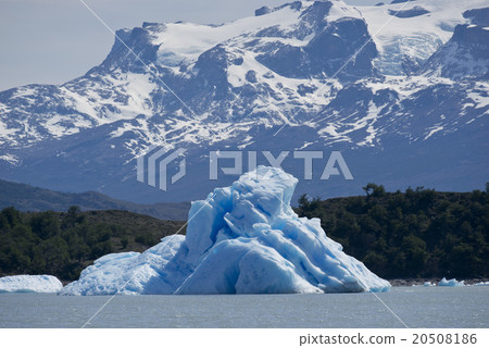Iceberg floating on the Lake Argentino 20508186