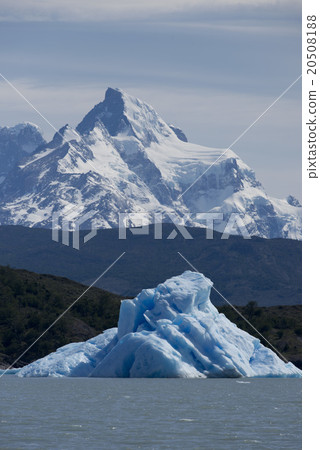 Iceberg floating on the Lake Argentino 20508188