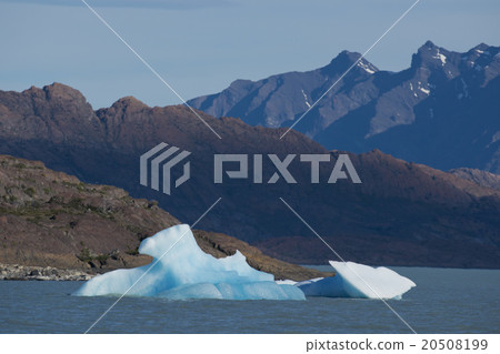 Iceberg floating on the Lake Argentino 20508199