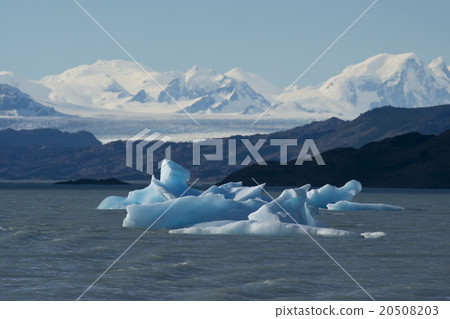 Iceberg floating on the Lake Argentino 20508203