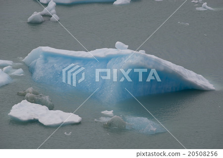 Iceberg floating on the Lake Argentino Iceberg floating on the Lake Argentino 20508256