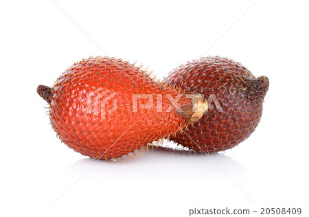 Salak fruit, Salacca zalacca isolated on the white 20508409