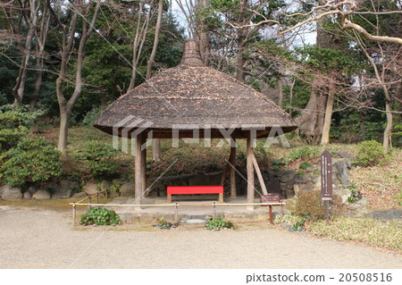 恢復了茶館 恢復了茶館 20508516
