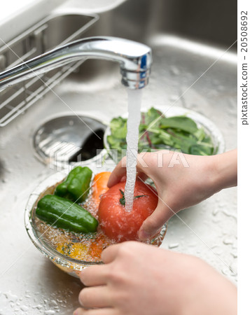 vegetables, vegetable, drainboard 20508692