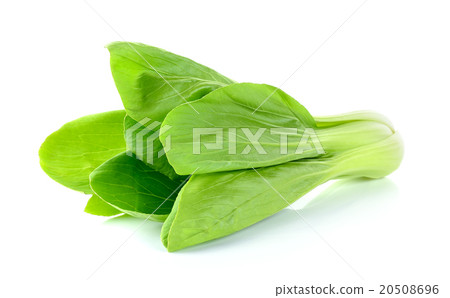 Bok choy vegetable isolated on the white Bok choy vegetable isolated on the white 20508696