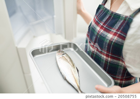 金槍魚 冰箱 魚 20508755