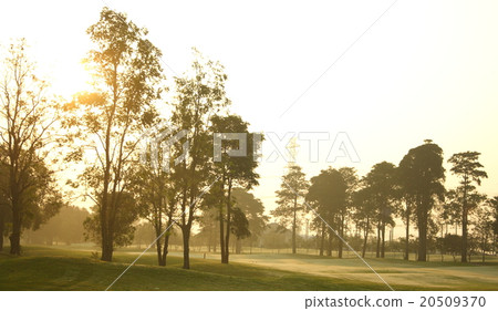 beautiful golf course 20509370
