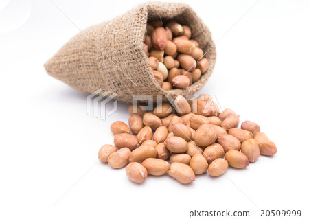 Peanut in Gunny Bag on white background 20509999