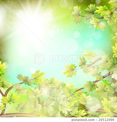 Season branches with fresh green leaves. EPS 10 20512099