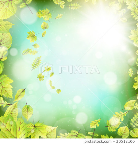 Season branches with fresh green leaves. EPS 10 20512100