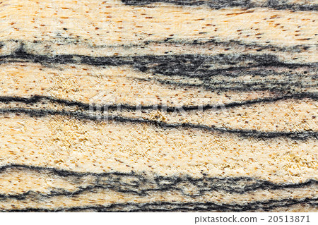 Wood background 20513871