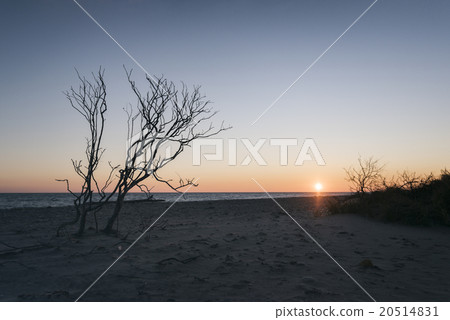 Seascape in Rhode Island Seascape in Rhode Island 20514831