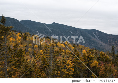 New England in fall New England in fall 20514837