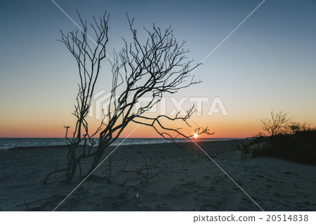 Seascape in Rhode Island Seascape in Rhode Island 20514838