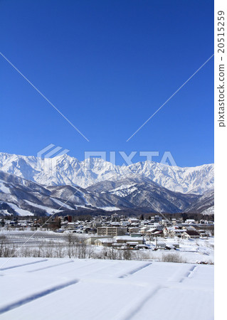 Hakuba village winter scenery 20515259