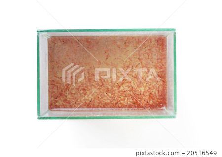 artemia plankton in the glass tank artemia plankton in the glass tank 20516549