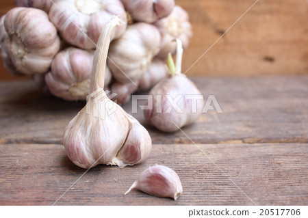 Garlic Garlic 20517706