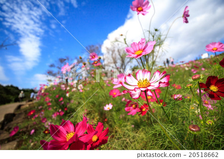 宇宙場@長老，諫早市，長崎縣 20518662