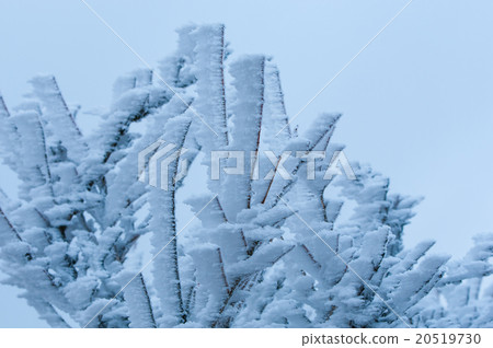 Foggy ice Foggy ice 20519730