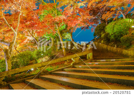 light up laser show at Beautiful Architecture in Kiyomizu-dera T 20520781