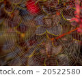 Spider web in early mornning. 20522580