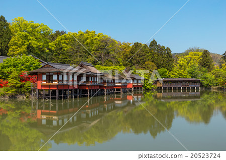 Nagaoka Tenman-gu  -  Kirishima azalei j 20523724