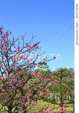 Osaka Castle Park in early spring 20523894