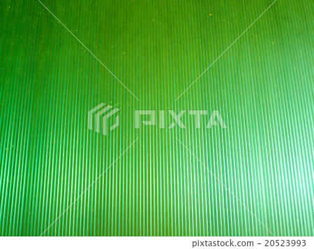 Roof polycarbonate light green color 20523993